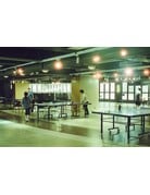 Vandal Tungsten 400 ISO Color Negative - 35mm Film, 36 Exposures