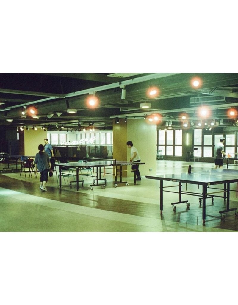 Vandal Tungsten 400 ISO Color Negative - 35mm Film, 36 Exposures