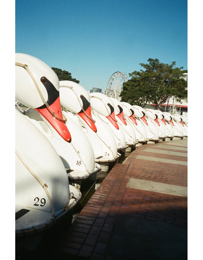 Tuttle Cameras Tuttle Cameras Limited 80th Anniversary 2 Pack 35mm Film