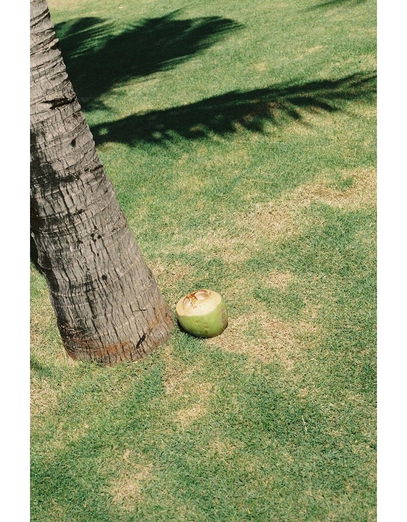 Mr. Negative Mr. Negative Fragile (Film Safety Capsule) 400 ISO 35mm Color Film 36exp