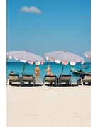 Mr. Negative Mr. Negative Fragile (Film Safety Capsule) 400 ISO 35mm Color Film 36exp