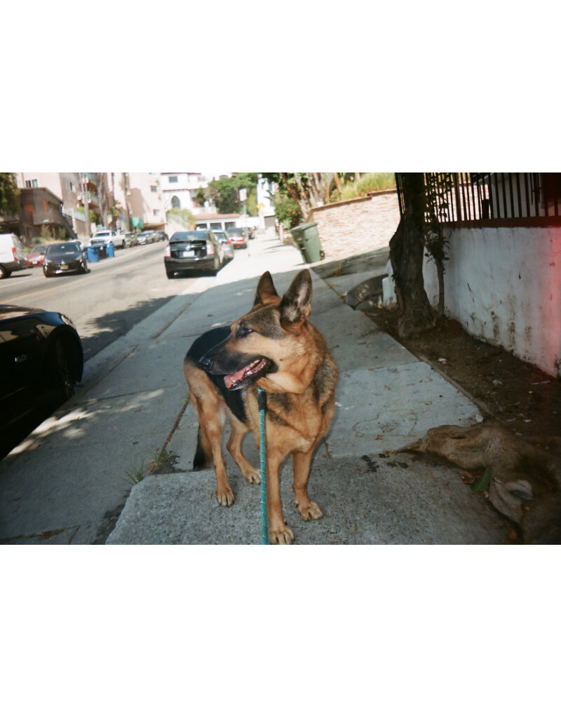 Lomography Holga 135AC Camera - Hot Pink