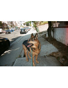 Lomography Holga 135AC Camera - Cool Blue