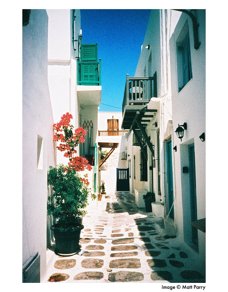 Harman HARMAN Phoenix 125 Color Negative Film (35mm Roll Film, 36 Exposures)