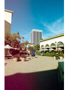 KONO! KONO MOJO ISO 200 35X36 C-41 COLOR NEGATIVE FILM