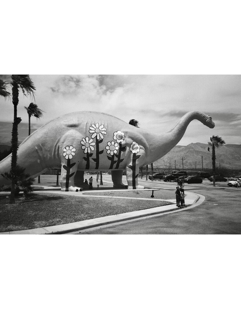 Mr. Negative Mr. Negative Parental Advisory (Film Safety Capsule) 400 ISO 35mm B&W Film 36exp