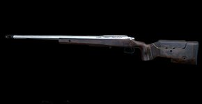 Precision Rifles