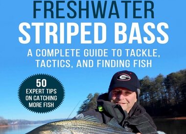 Henry Cowen's Book & Flies