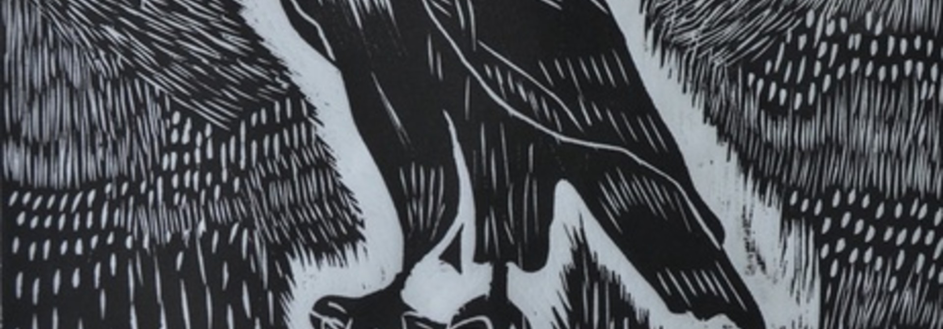 Eagle on the Tree Trunk