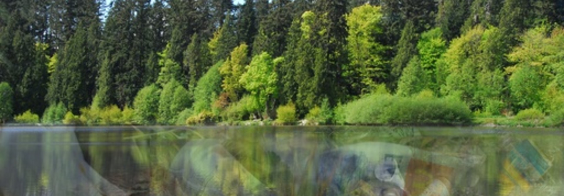 Environmental Studies 2