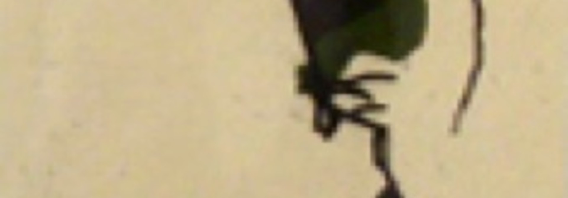 E.G.NO.3