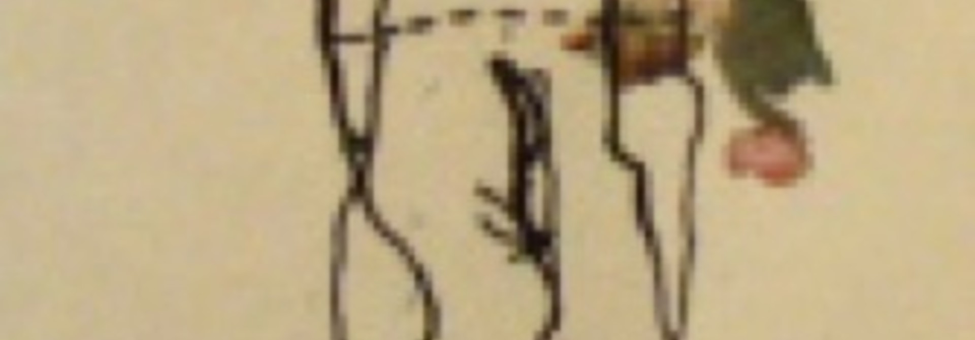 N.B.No.3