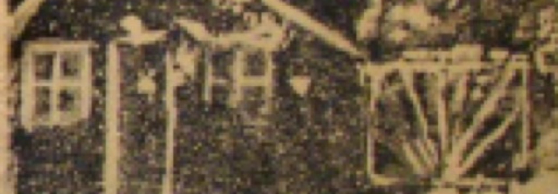 Galiano Shed