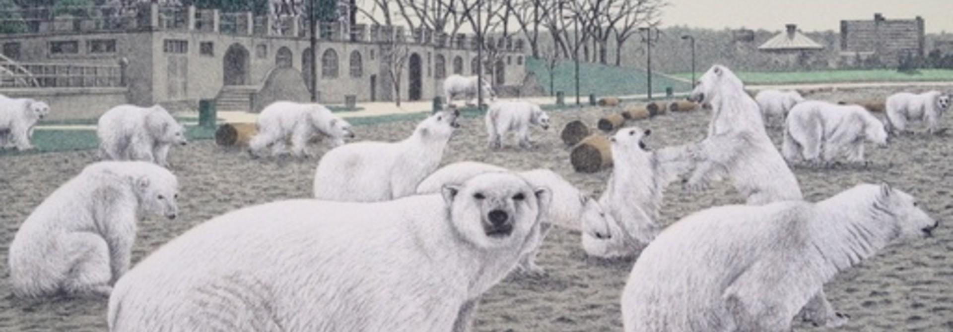 The Polar Bear Club
