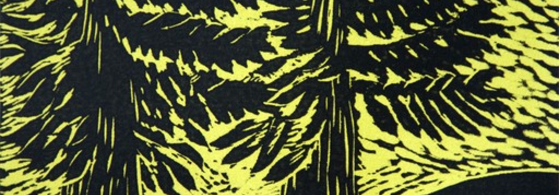 Cedars by the Salish Sea II