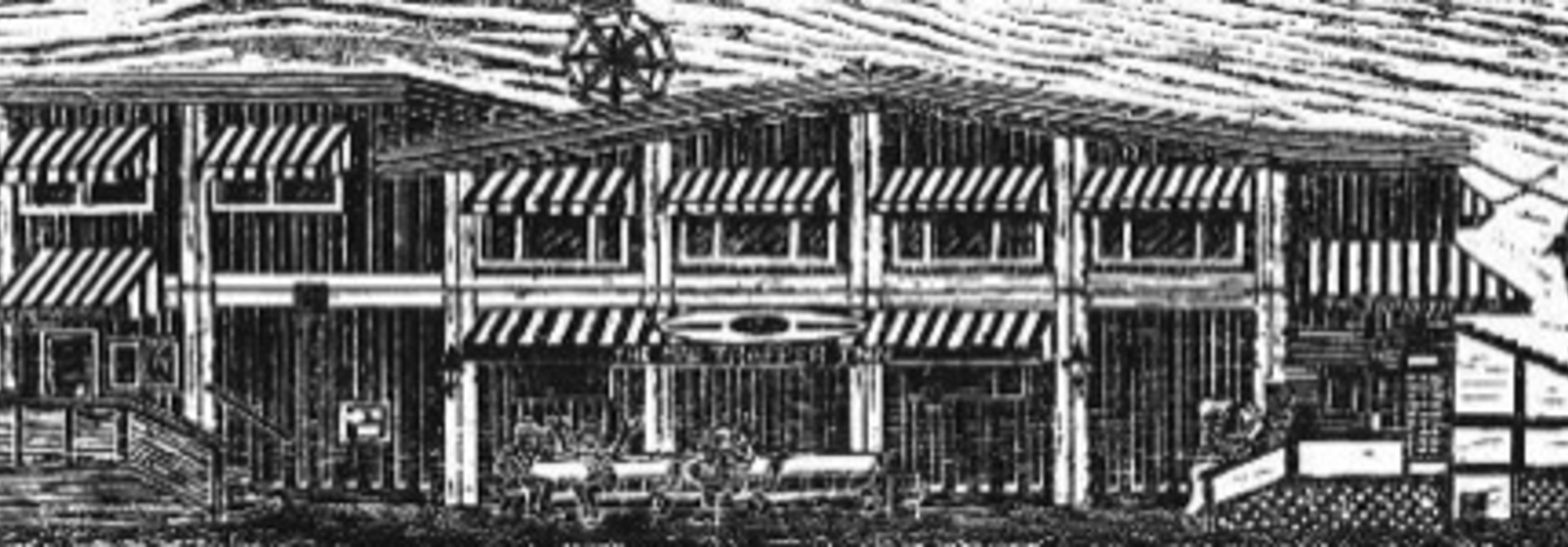 Mad Trapper Inn