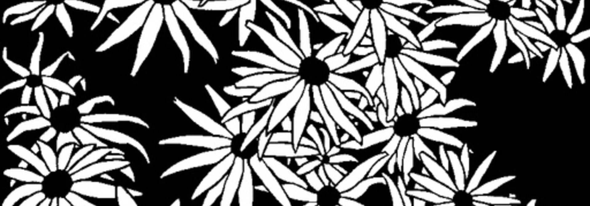 Flowers (Rudbeckia)