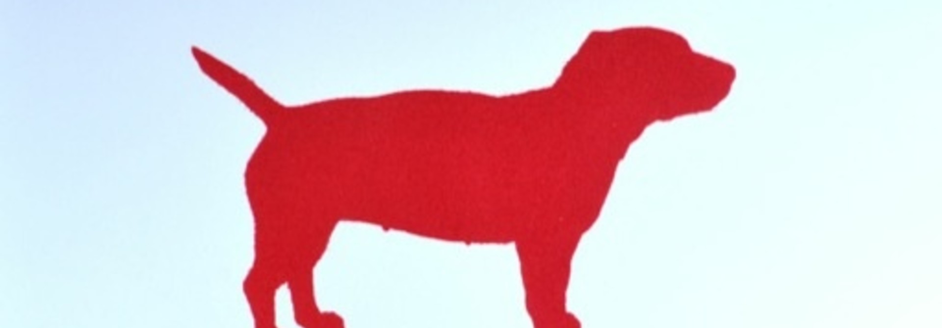 Little Red Dog