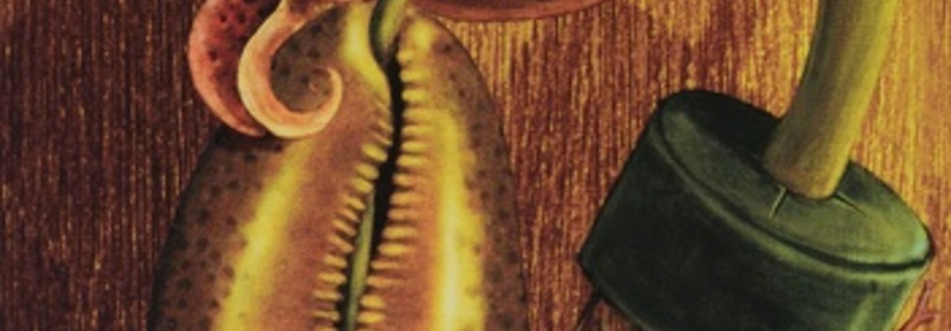 The Divination