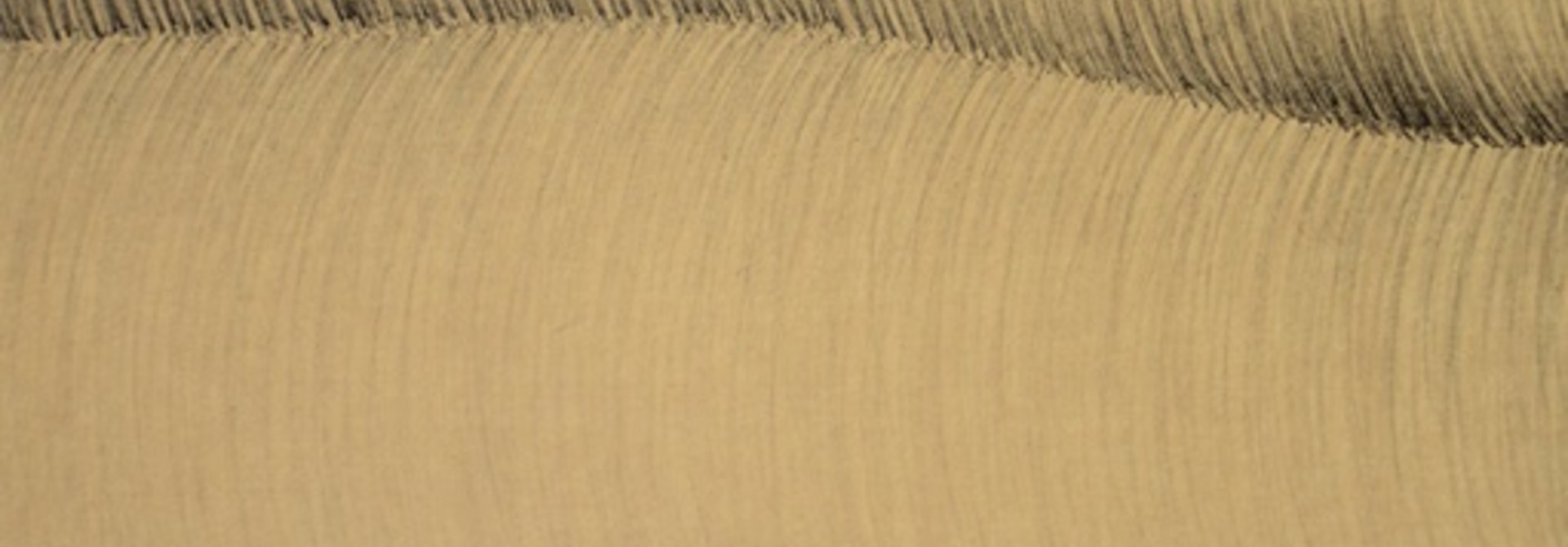Familiar Curve #4