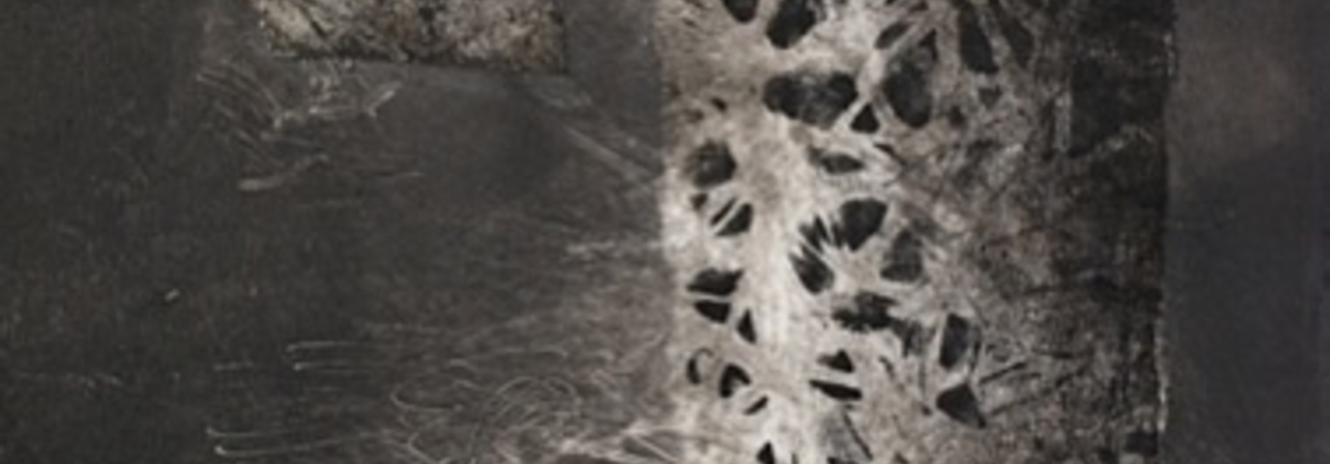 Totemic Remains
