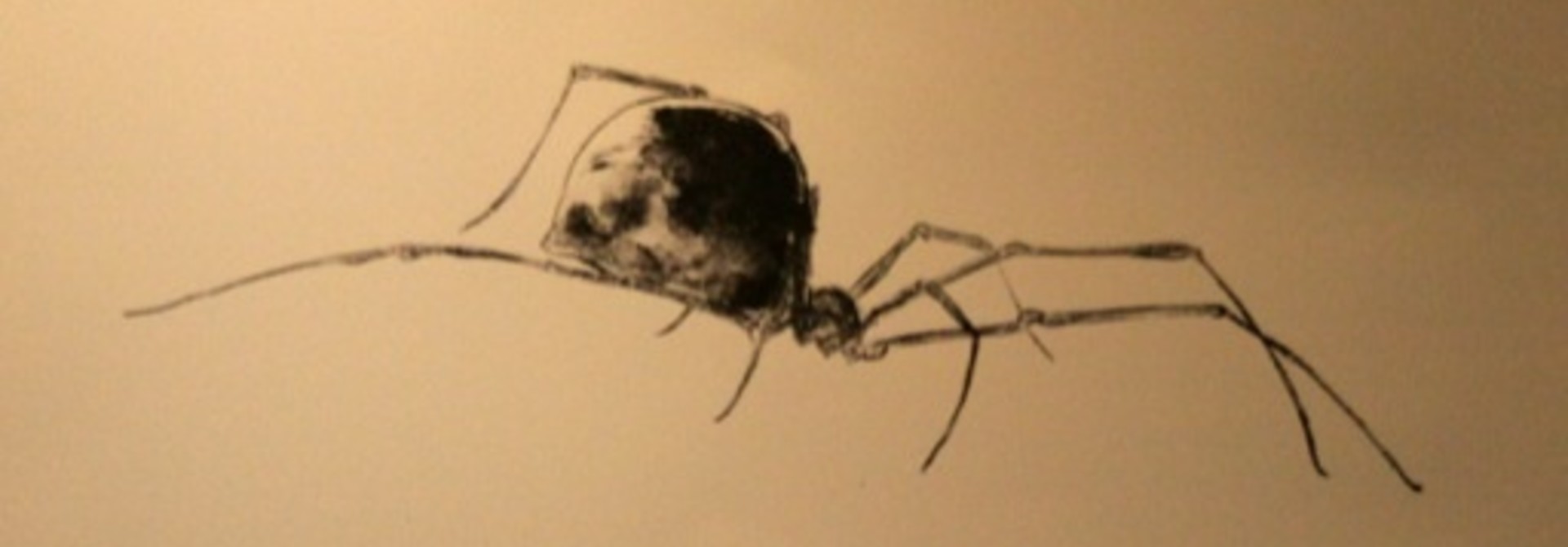 Widow