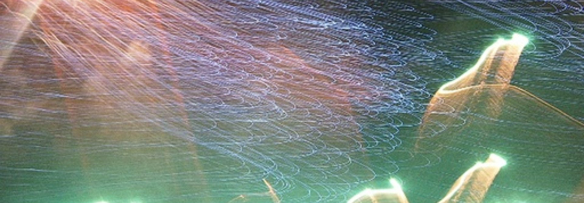 Underwater Life