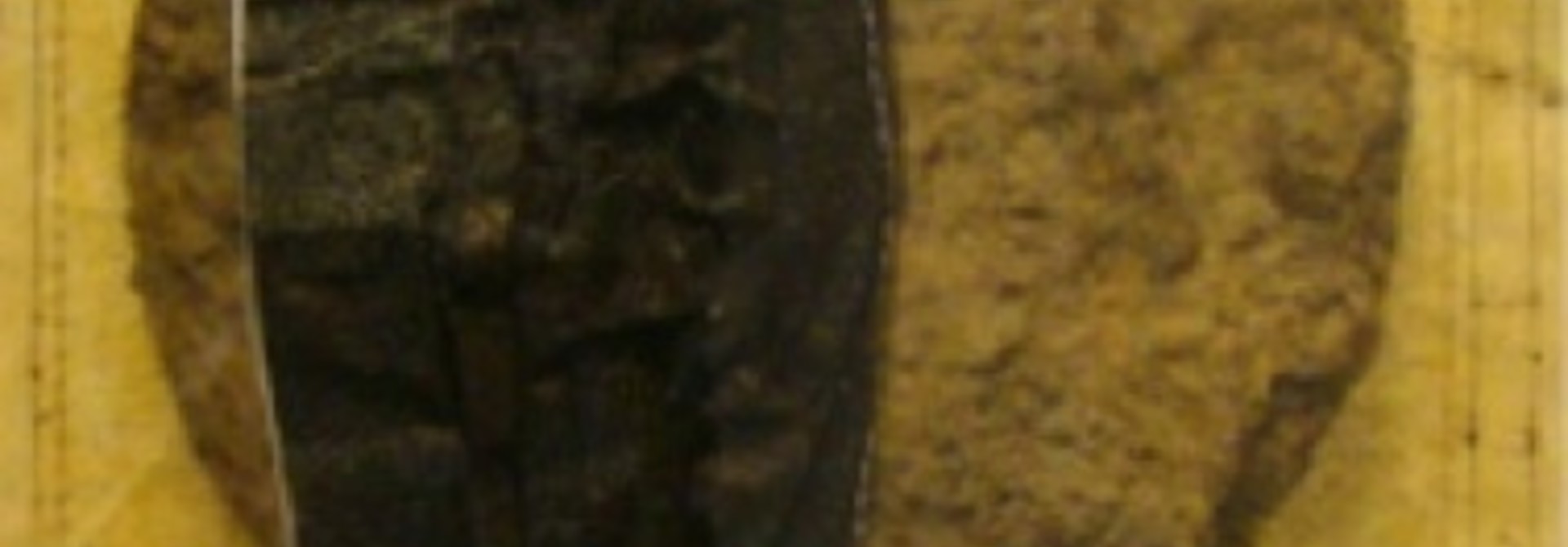 Fuse Fragment II