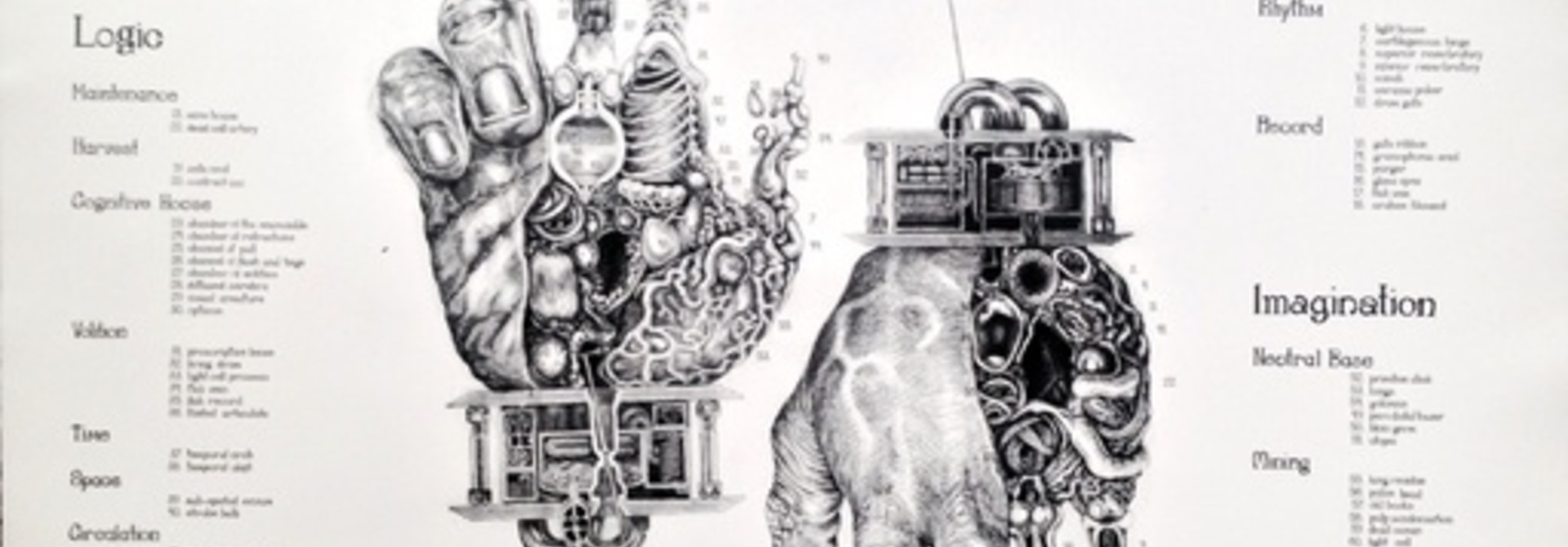 Monod Anatomy