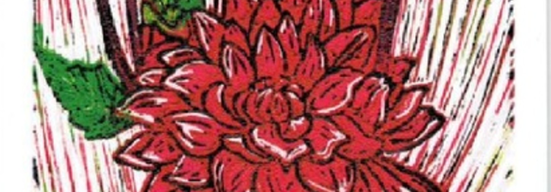 Garden Dahlia