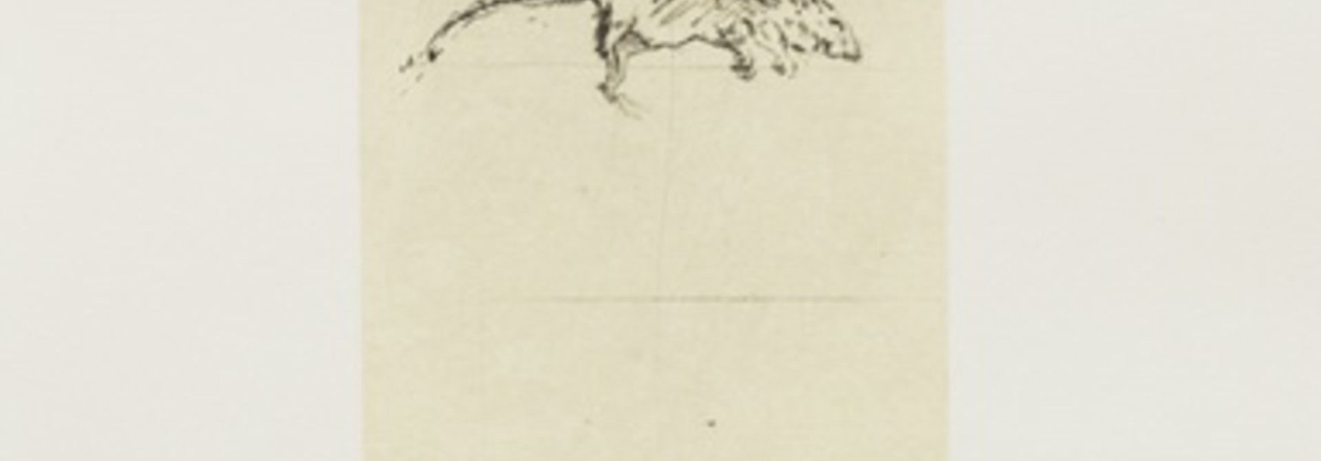 Dead Rat