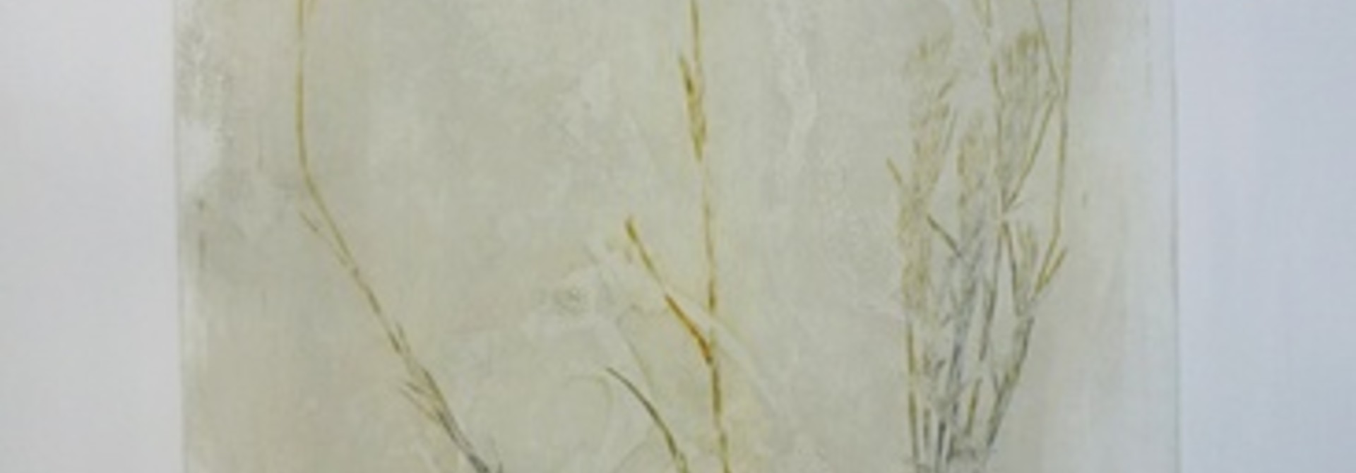 Festuca Idahoensis