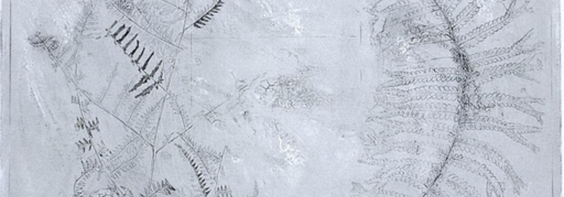 Ferns I