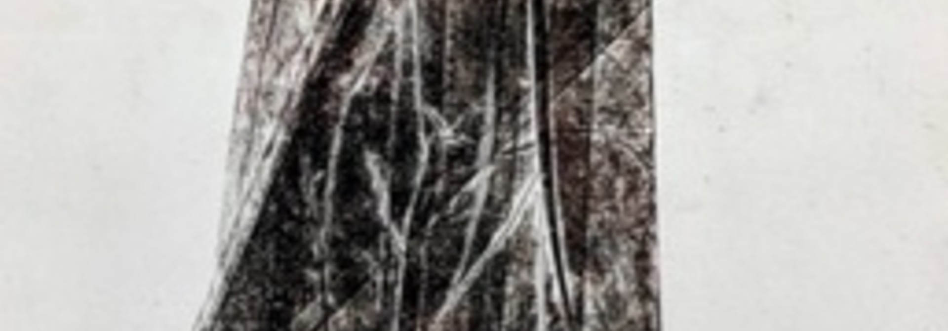Cloak