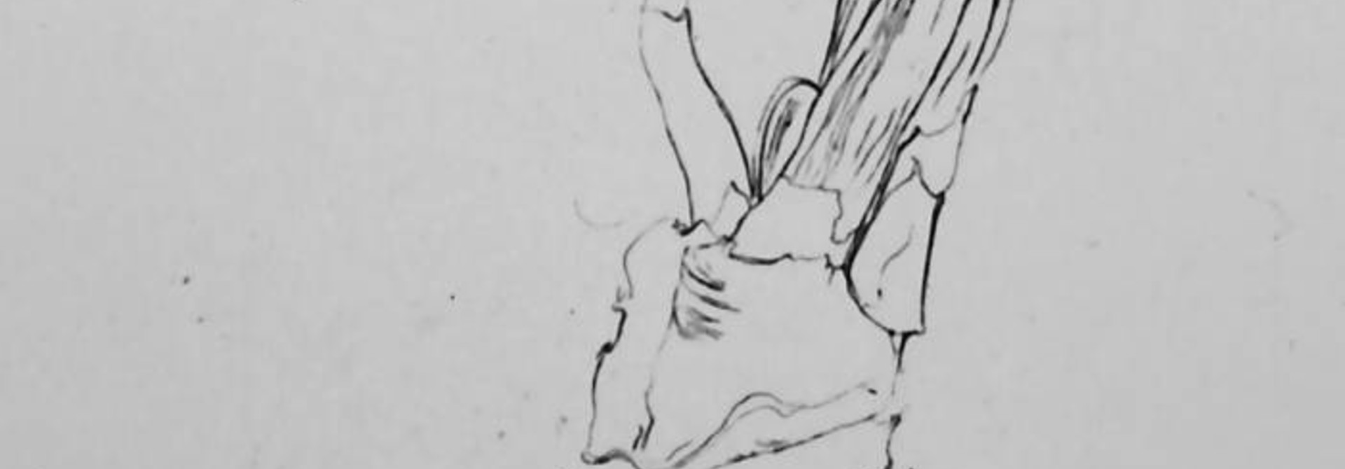 Bulb