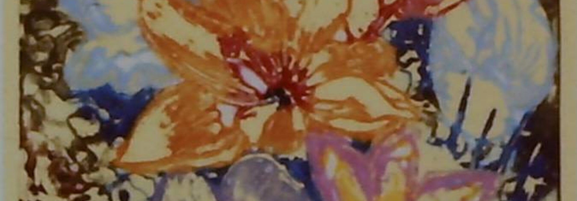 Crocus