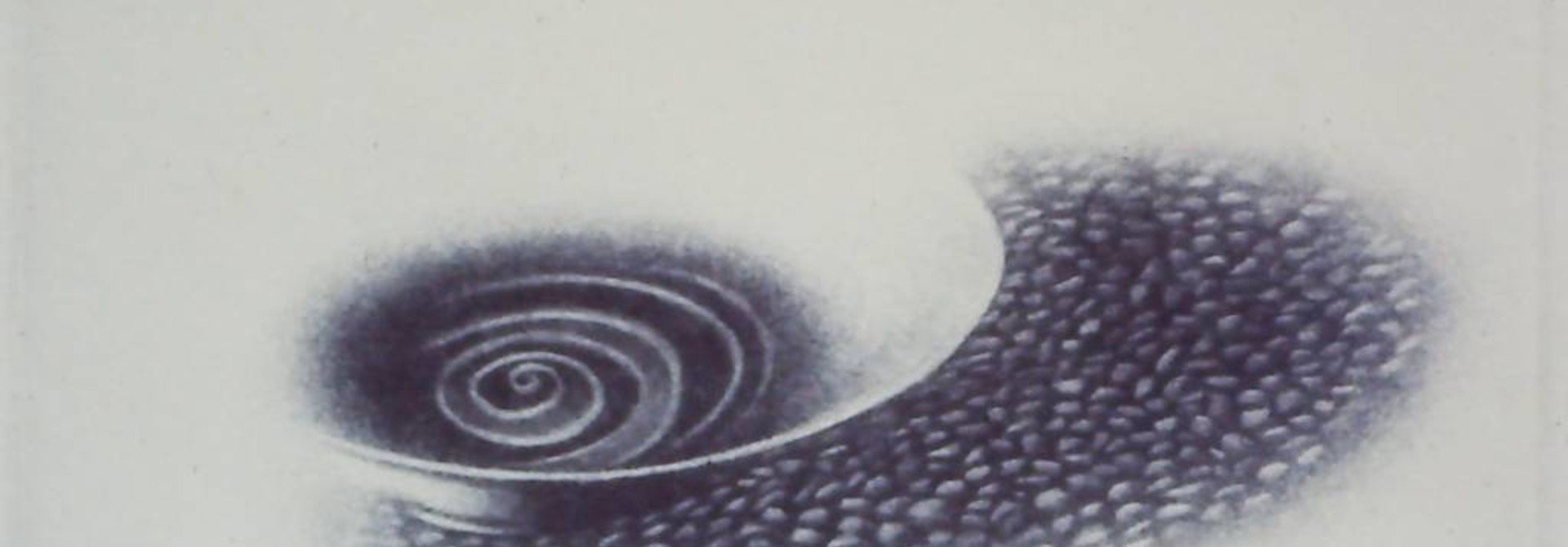 Bowl II