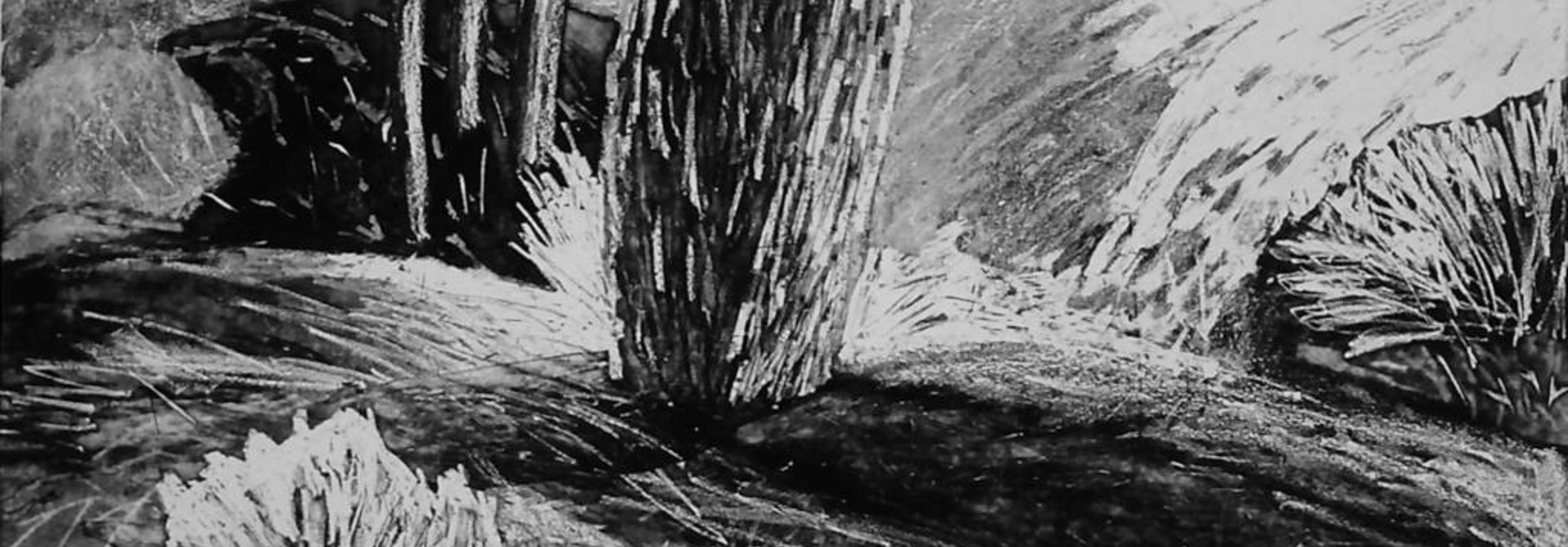 Mountain, Tree, Wave
