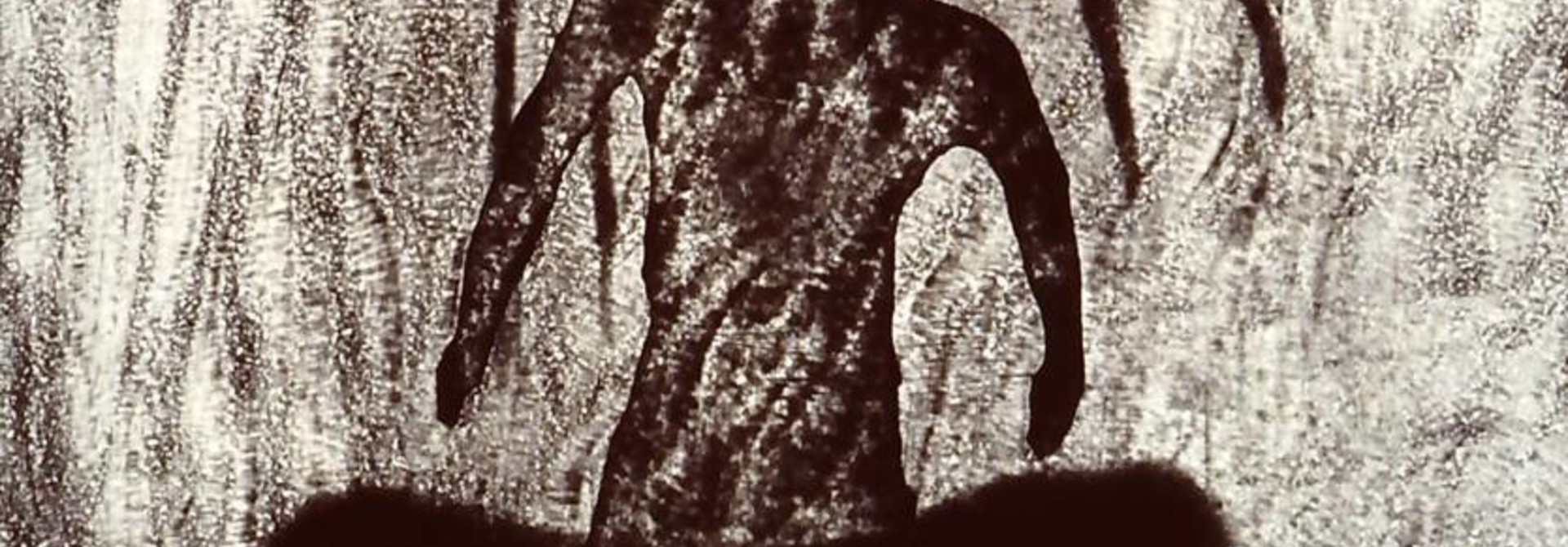 Visions from the Morphology Field (set of 12)