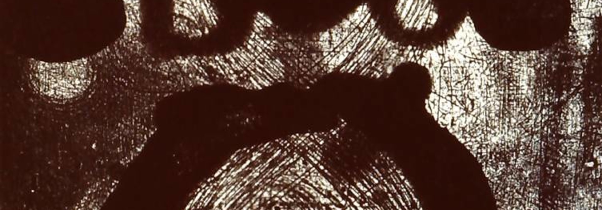 Visions from the Morphology Field (set of 12)
