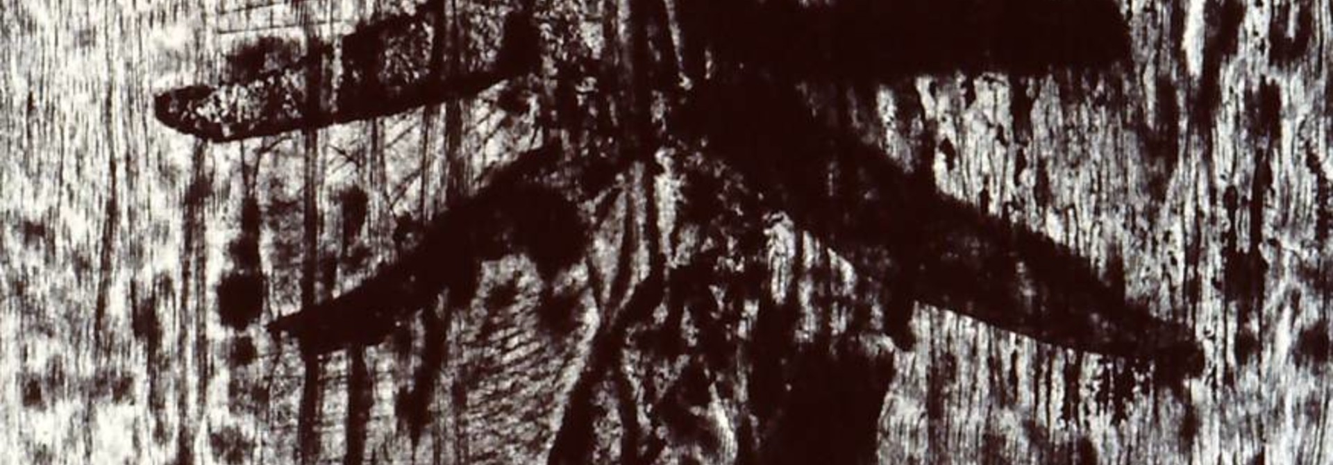 Visions from the Morphology Field (set of 12)