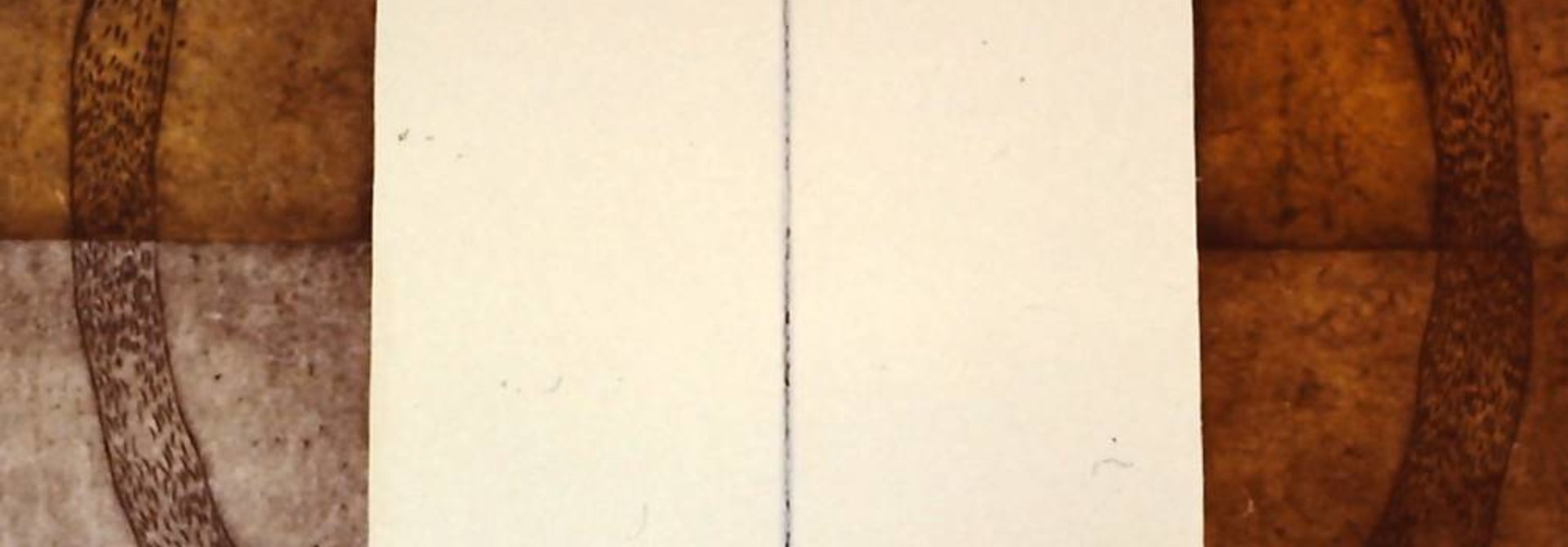 Nerve Circle (2pcs)