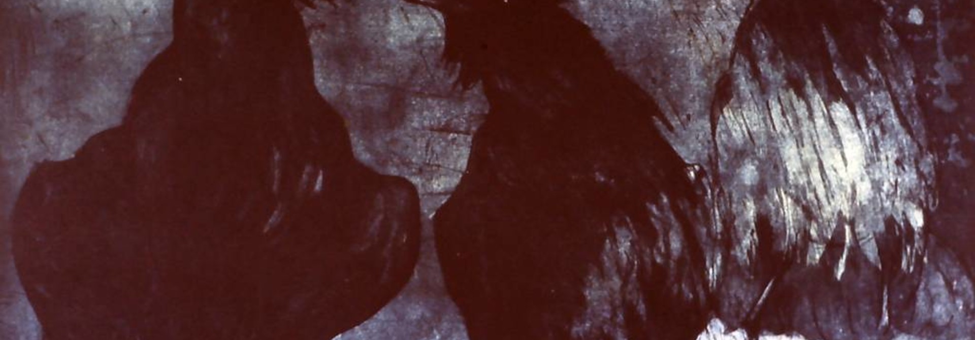 Winter Ravens