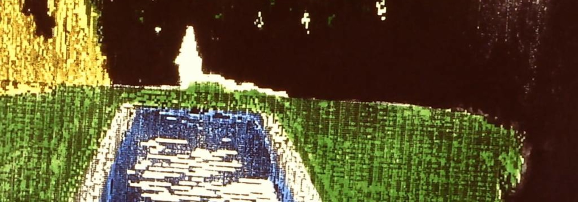 Digital Landscape