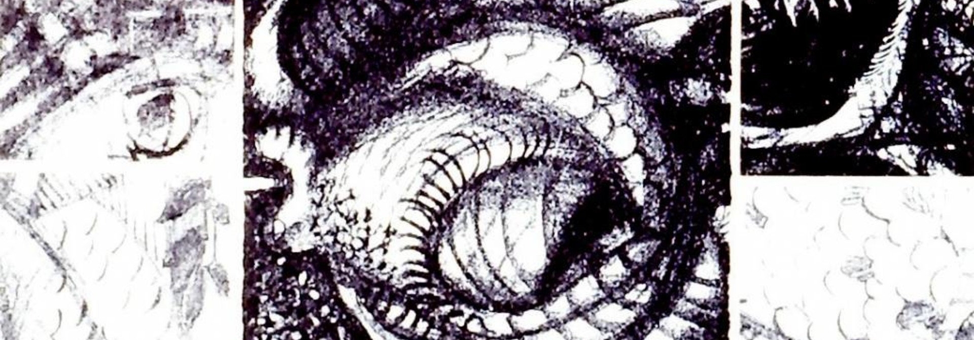Bring me the Head of Franz Kafka
