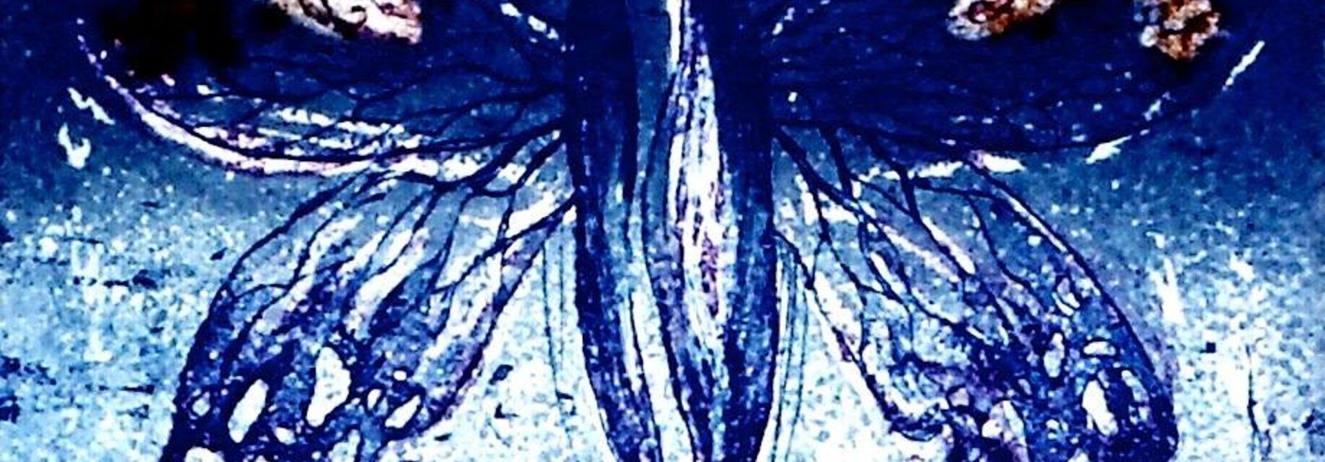 Merlin's Moth II