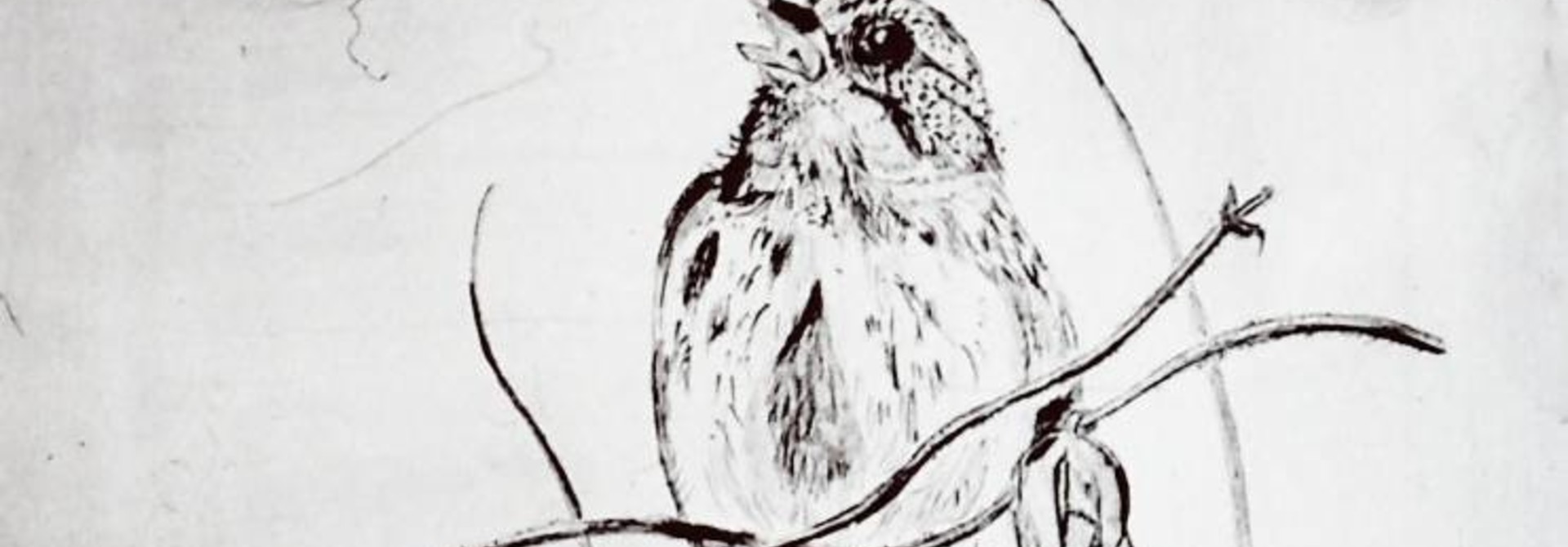 Chirp (imp. From tweet suite)