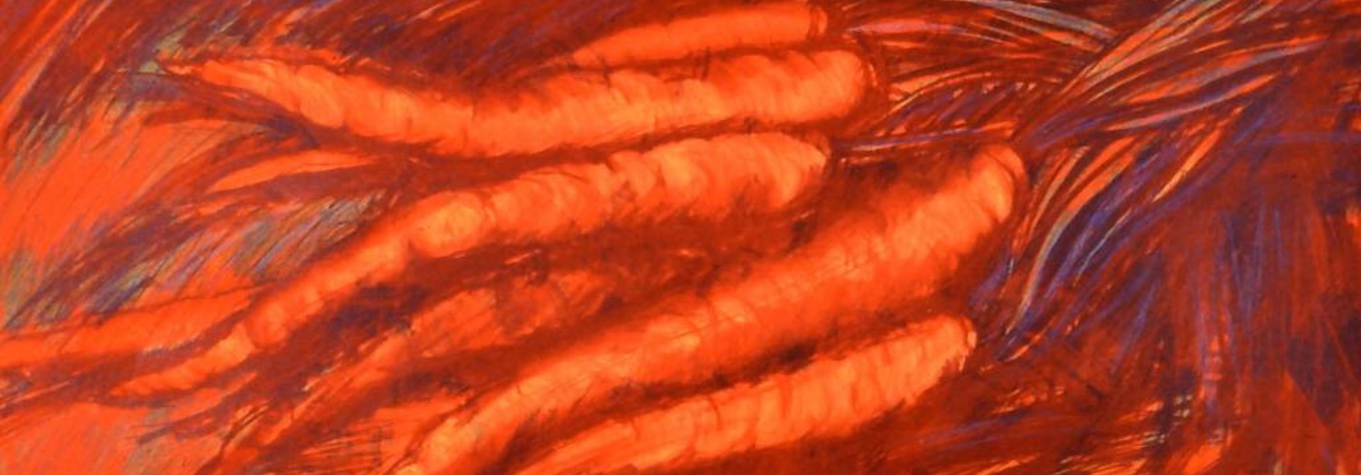 Carrots in Orange