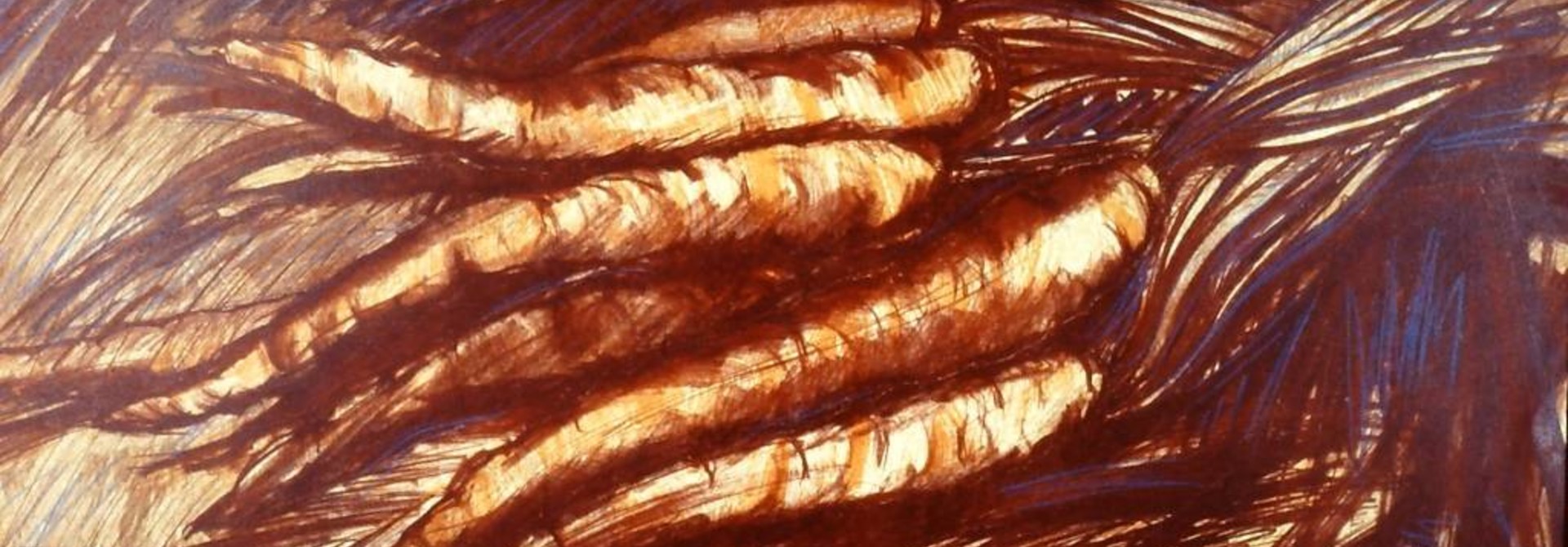 Carrots in brown
