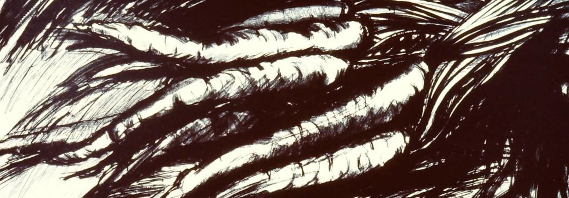 Carrots in Black and White